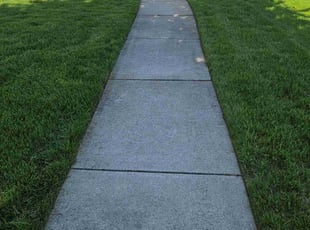 Brittany S.'s lawn care services service result