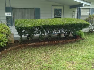James S.'s Bush Trimming service result