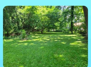 Anne-Marie W.'s grass cutting service result