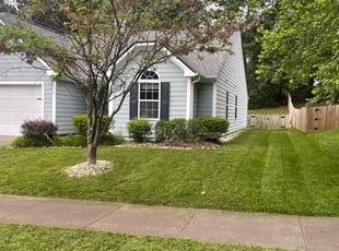 Michelle B.'s turf maintenance service result