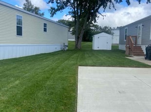 Lisa L.'s turf care service result
