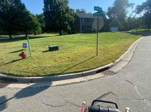 Terry R.'s lawn care services service result