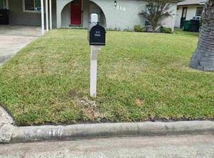 Bunny W.'s grass maintenance service result