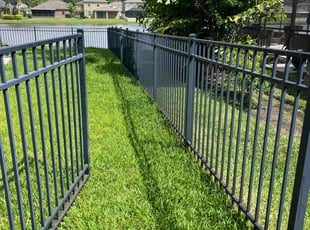 Denise L.'s lawn care service result