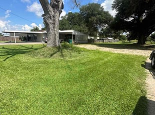 Santiago O.'s lawn care service result