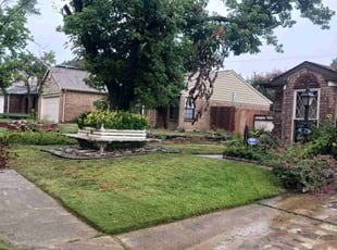 Aaron C.'s turf care service result