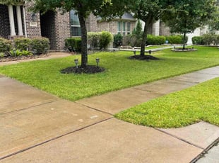 Jason B.'s lawn care service result