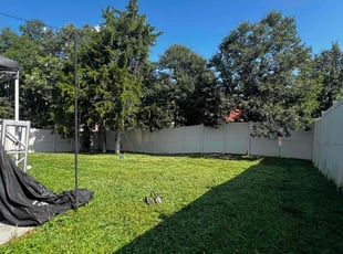 Phannetta P.'s grass maintenance service result