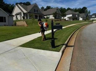Susan S.'s lawn care services service result