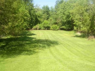 Kristopher W.'s lawn maintenance service result