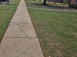 Scott W.'s grass maintenance service result