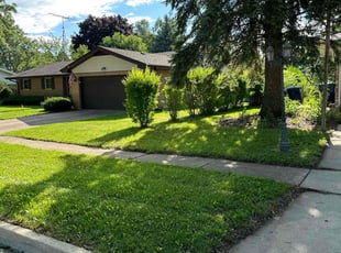 Bridget M.'s lawn service service result