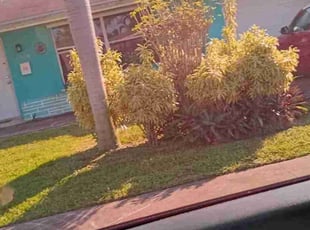 Clarence W.'s turf maintenance service result