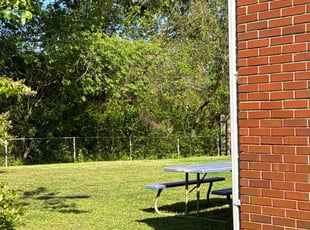 Stephen A.'s grass cutting service result