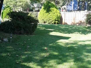 Chris L.'s grass maintenance service result