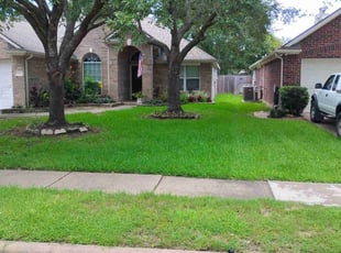 Mikaela A.'s turf care service result