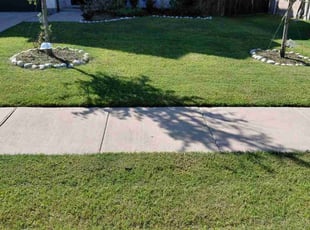 Sarah B.'s Flower Bed Weeding service result