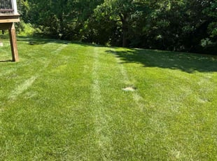 Andrew A.'s turf care service result