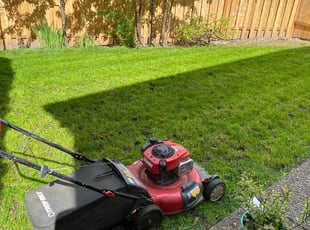 Virginia G.'s grass maintenance service result