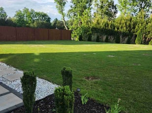 Jennifer J.'s turf care service result