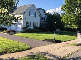 Sonia S.'s lawn care service result
