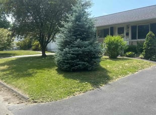 Kyle R.'s lawn service service result