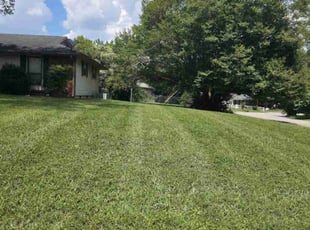 Michael H.'s lawn maintenance service result