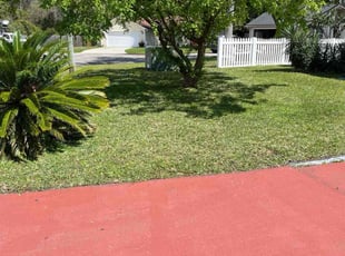 Ian V.'s grass cutting service result