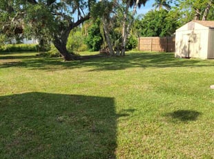 Alex K.'s lawn maintenance service result