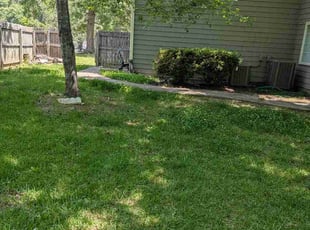 Nancy K.'s grass maintenance service result