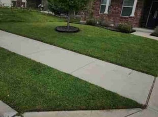 Bradley T.'s turf maintenance service result