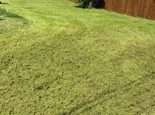 Karol K.'s lawn service service result