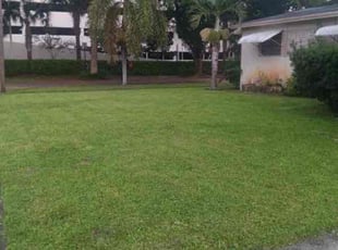 edouard w.'s turf maintenance service result