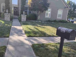 Marki C.'s lawn maintenance service result