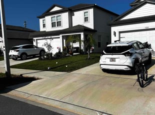 Diana L.'s turf care service result