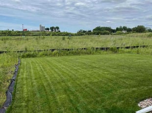 Steve M.'s lawn care service result