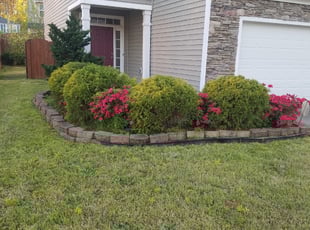 Christina R.'s Bush Trimming service result
