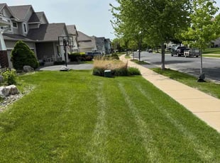 Andy B.'s grass maintenance service result