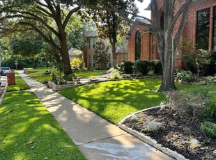 Joe M.'s turf care service result