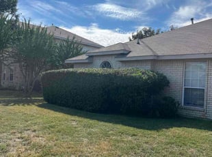 Tianna G.'s turf care service result