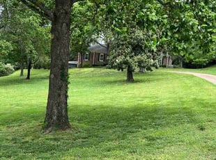 Annie L.'s lawn care service result