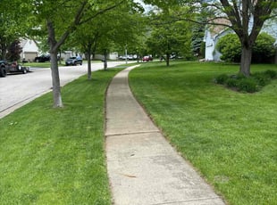 Eddie M.'s lawn care service result