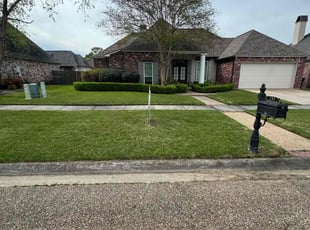 Jason K.'s lawn care service result