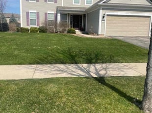 Cynthia S.'s turf care service result