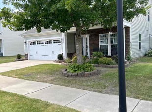 Amir N.'s grass cutting service result