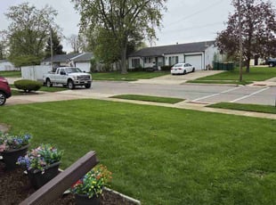 Erika S.'s lawn care services service result