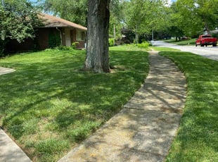 Jack C.'s grass cutting service result