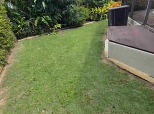 Ronald C.'s lawn care service result