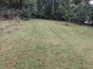 Nana D.'s lawn care services service result