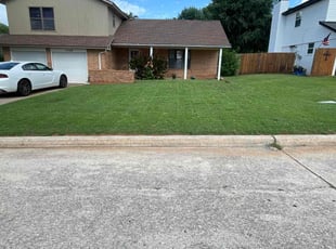 Anand B.'s turf care service result